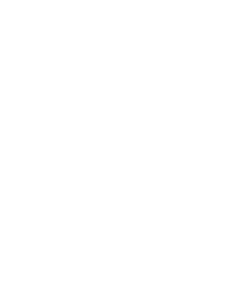 Logo Bureau Veritas